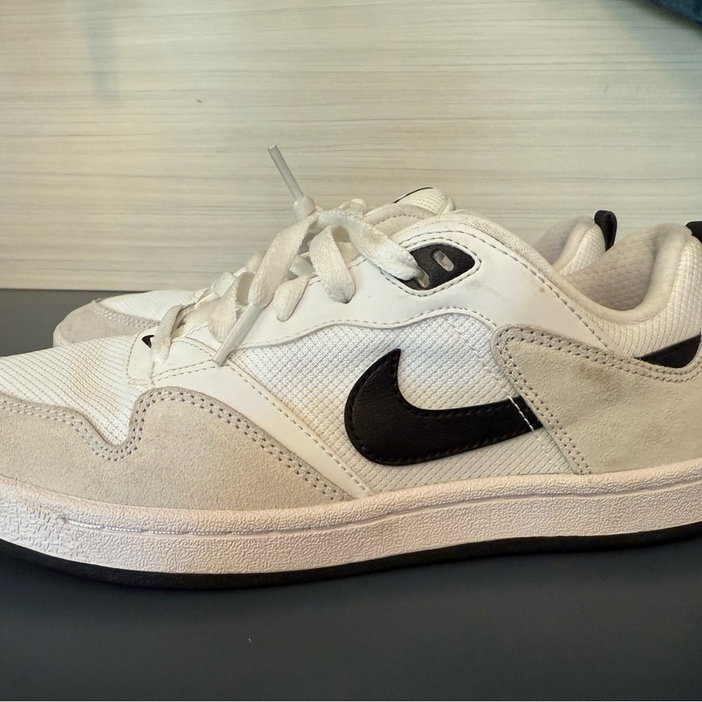 Nike SB Alleyoop